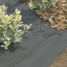 Paillage en tissu polyester Terratex 1 x 10 m couleur noire 80 gm² Nortene - Boutique en ligne Nortene