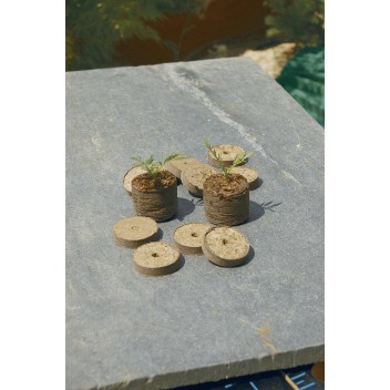 Pastilles de tourbe TURBA Nortene – 4 cm, naturelles, réhydratables, pour semis et boutures