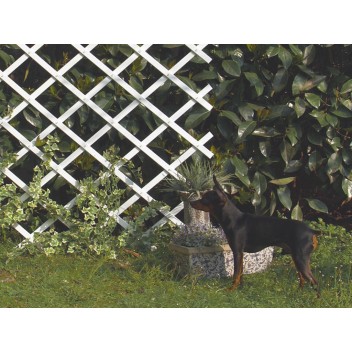 Treillis extensible 0,5 x 1,5 m TRELLIFLEX blanc Nortene - Boutique en ligne Nortene