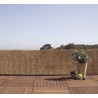Canisse bambou naturel 1 x 5 m Nortene REEDCANE - Boutique en ligne Nortene