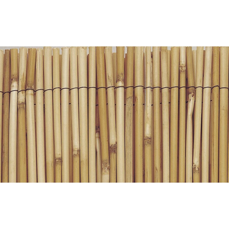 Canisse Bambou x 5 m - Différentes Hauteurs — BRYCUS