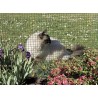 Grillage métallique électrosoudé plastifié 1 m x 5 m FENSANET PLAST 6,4 Nortene - Boutique en ligne Nortene