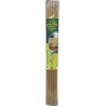 Canisse synthétique simple face PLASTICANE 1 x 3 m Beige