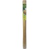 Canisse synthétique simple face PLASTICANE 1,5 x 3 m Beige