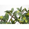Treillis extensible en osier naturel avec des feuilles de laurier artificielles WILLGREEN 1 x 2 m Nortene  - Boutique en ligne 