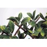 Treillis extensible en osier naturel avec des feuilles de laurier artificielles WILLGREEN 1 x 2 m Nortene  - Boutique en ligne 