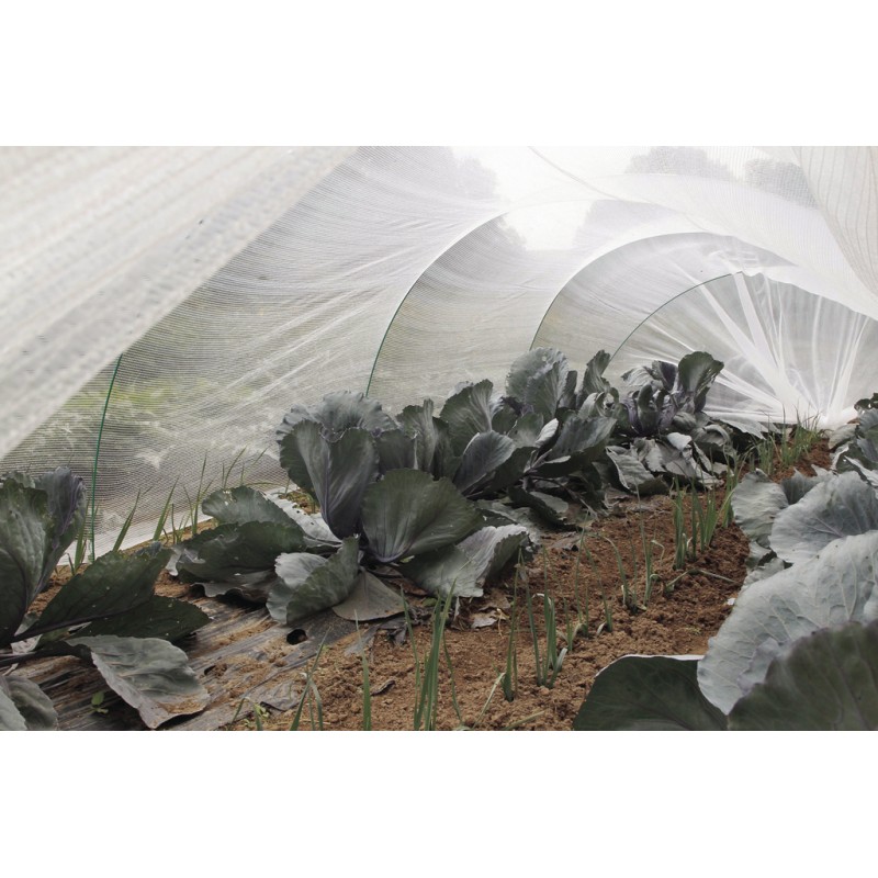Filet de protection PROTEC 6 x 4 m Nortene