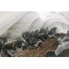 Filet de protection PROTEC 6 x 4 m Nortene