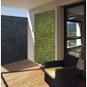 Jardin vertical synthétique Buxus imitation feuillage de buis Nortene - Boutique en ligne Nortene