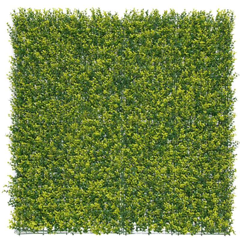 Jardin vertical synthétique Buxus imitation feuillage de buis Nortene - Boutique en ligne Nortene