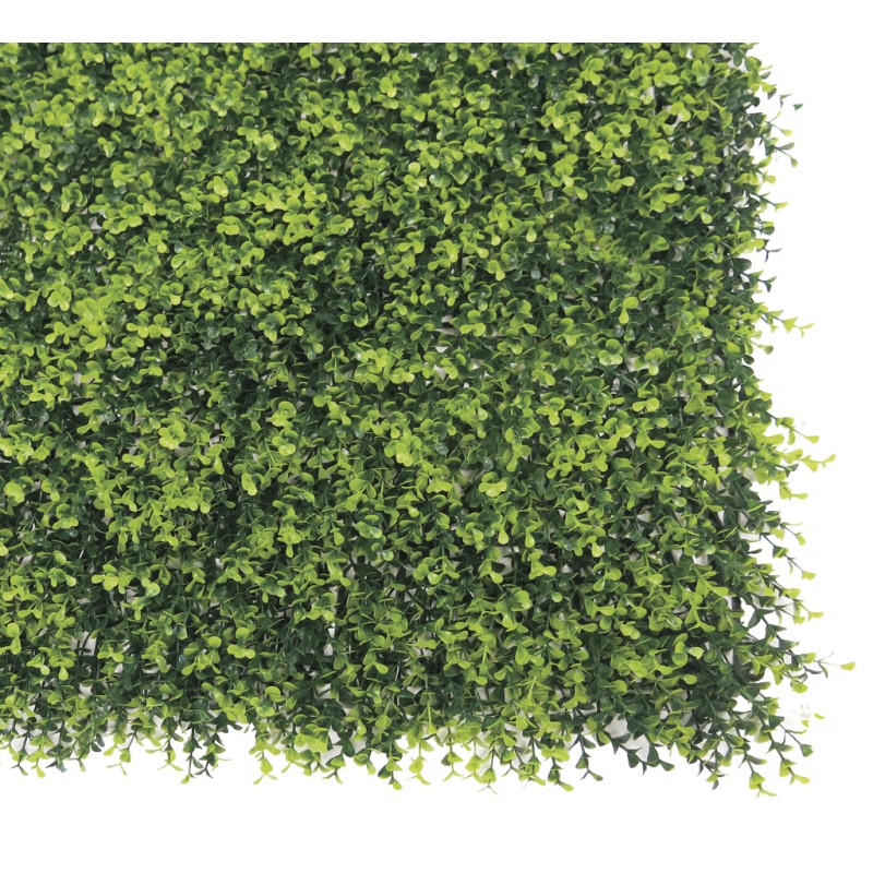Jardin vertical synthétique Buxus imitation feuillage de buis Nortene - Boutique en ligne Nortene
