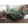 Mini-serre pour semis RAPID GROW avec 2 formats - Boutique en ligne Nortene