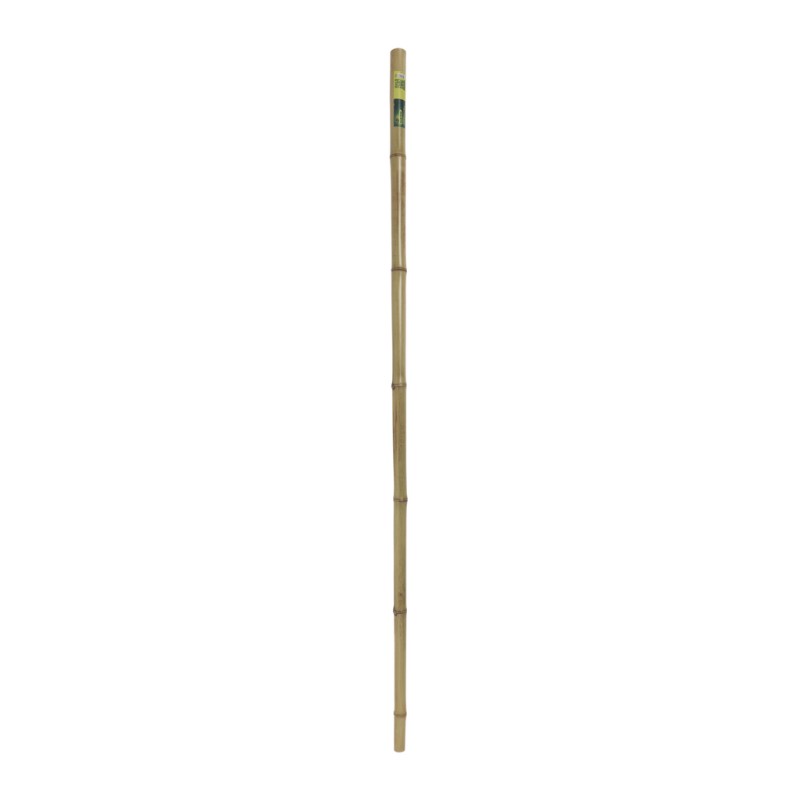 Tuteur bambou décorative 1,80 m - ø 35-40 mm en la tienda de Nortene
