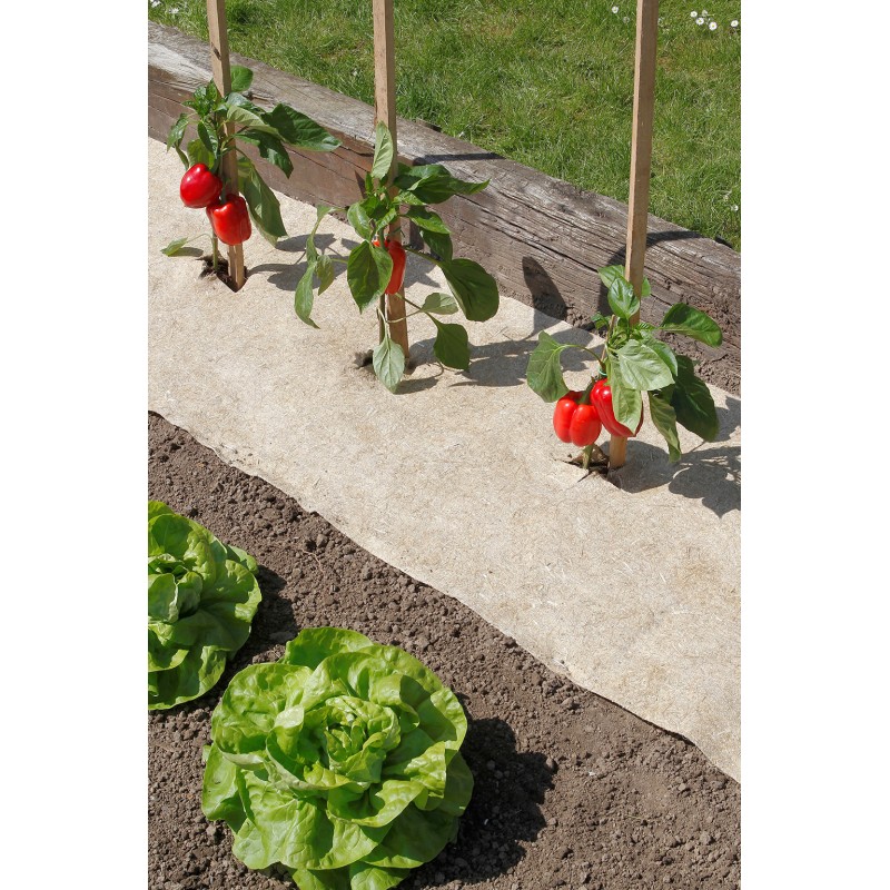 Paillage naturel 100% 0,5 x 3 m FLAXHEMP Nortene