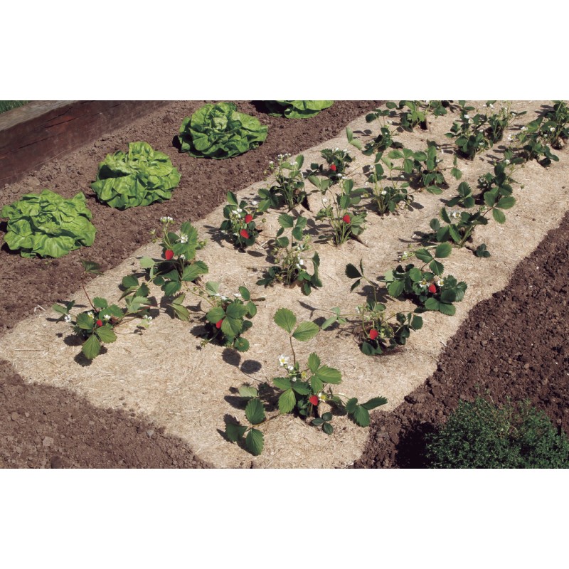 Paillage naturel 100% 0,5 x 3 m FLAXHEMP Nortene