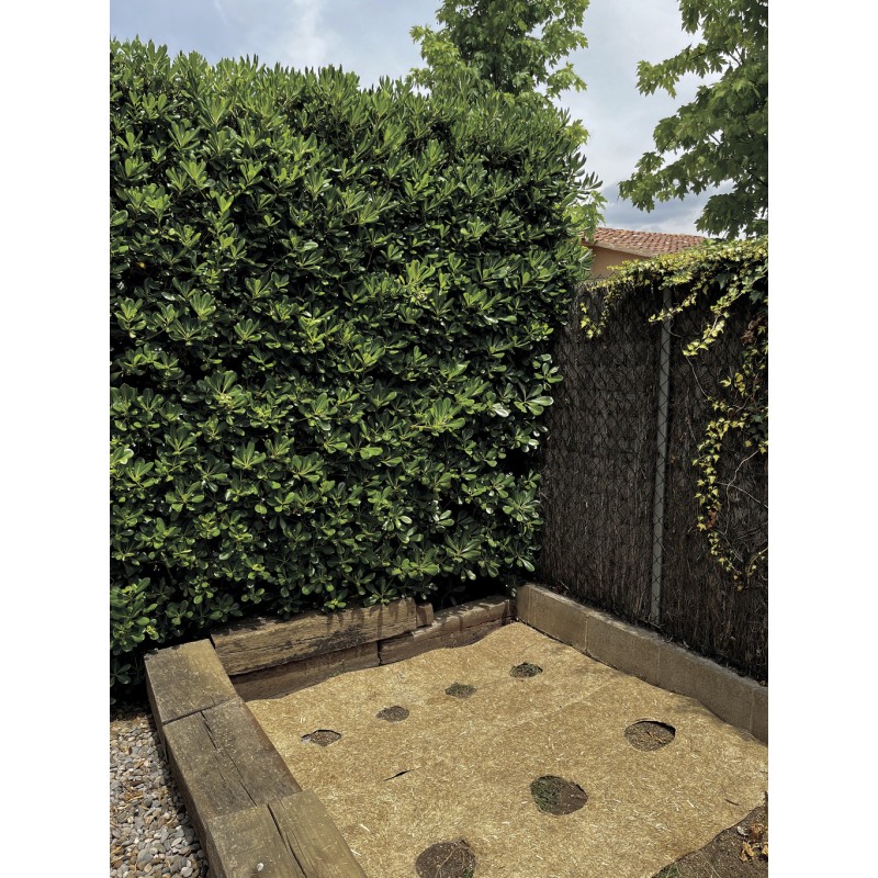 Paillage naturel 100% 0,5 x 3 m FLAXHEMP Nortene