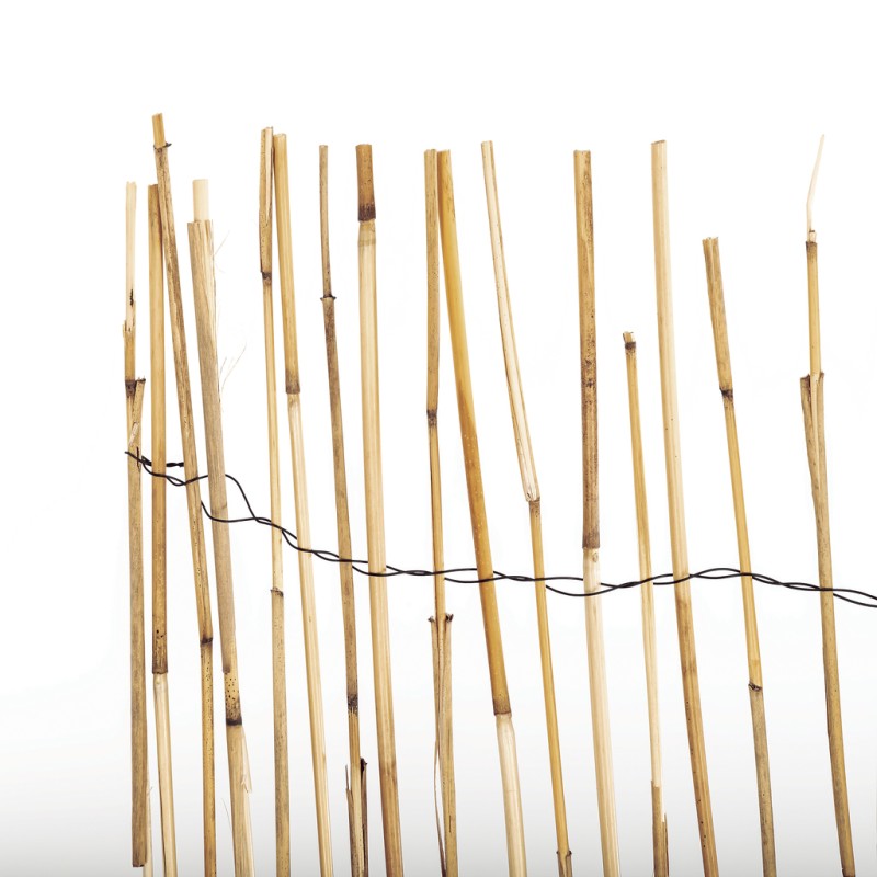 Canisse bambou naturel 1 x 5 m Nortene REEDCANE - Boutique en ligne Nortene