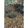 Nappe de paillage GEOTEX 1,6 x 10 m couleur marron 80 gm² Nortene - Boutique en ligne Nortene