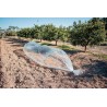 Film de forçage spécial légumes primeurs CLIMAFILM Nortene - Boutique en ligne Nortene