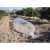 Film de forçage spécial légumes primeurs CLIMAFILM Nortene - Boutique en ligne Nortene