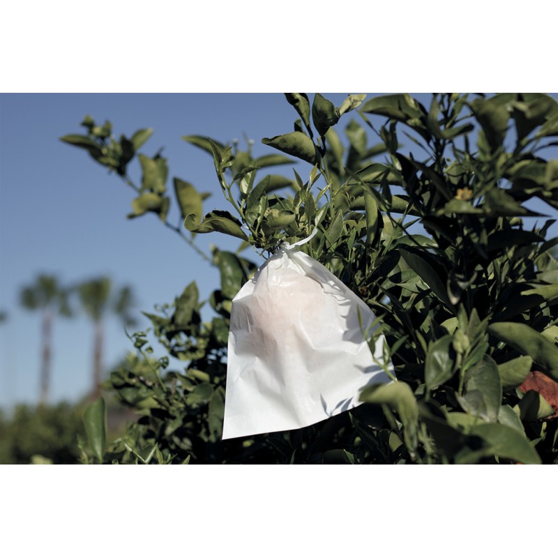 Housses à fruit FRUITSAC 17 x 22 cm Nortene - Boutique en ligne Nortene