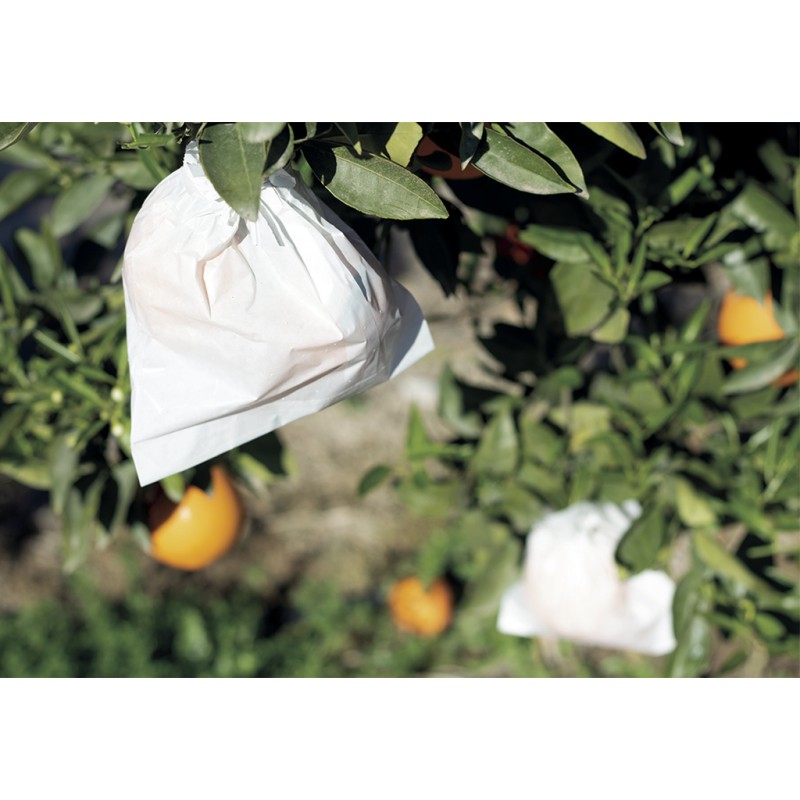 Housses à fruit FRUITSAC 17 x 22 cm Nortene - Boutique en ligne Nortene