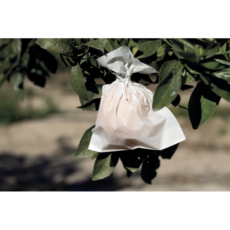 Housses à fruit FRUITSAC 17 x 22 cm Nortene - Boutique en ligne Nortene