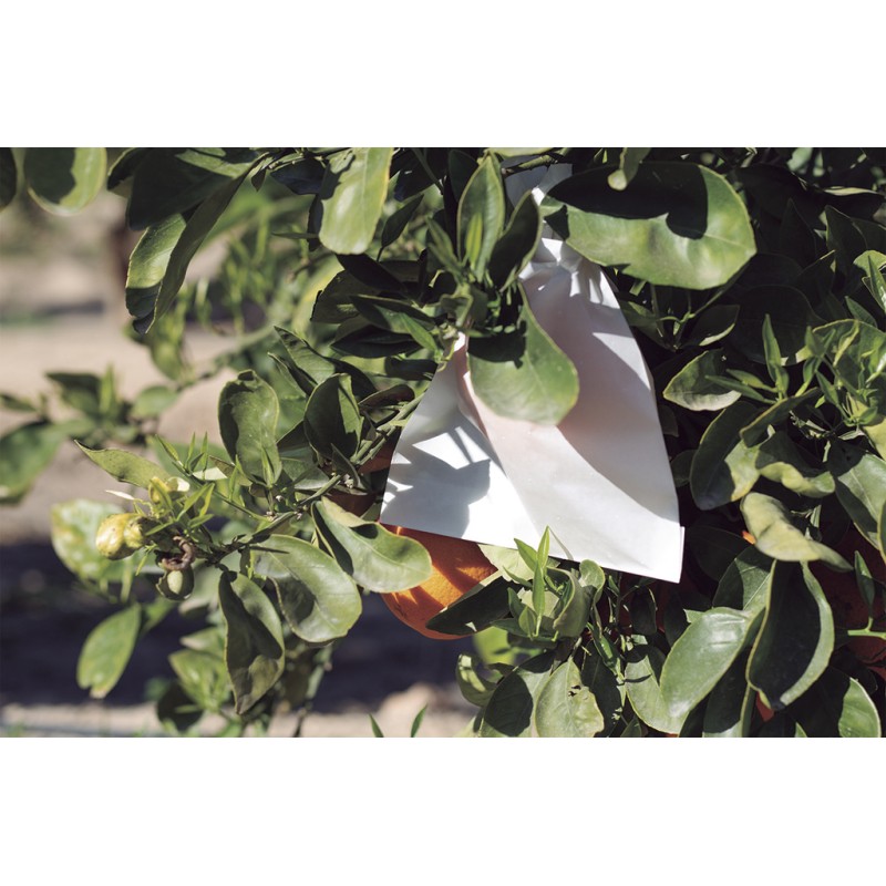 Housses à fruit FRUITSAC 17 x 22 cm Nortene - Boutique en ligne Nortene