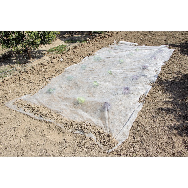 Voile de croissance CLIMATEX 2 x 5 m Nortene - Boutique en ligne Nortene
