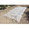 Voile de croissance CLIMATEX 2 x 5 m Nortene - Boutique en ligne Nortene