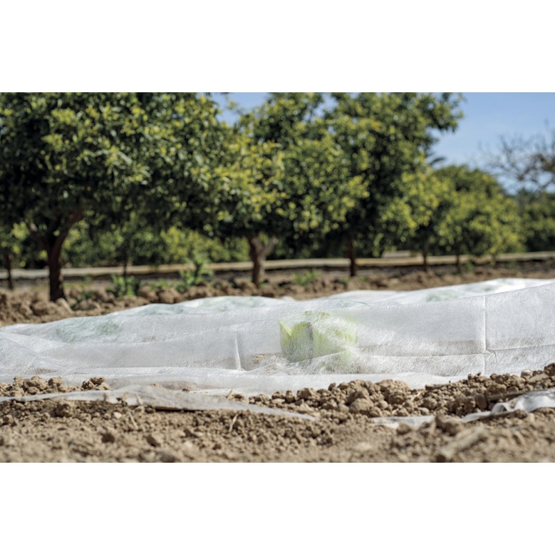 Voile de croissance CLIMATEX 2 x 5 m Nortene - Boutique en ligne Nortene