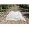 Voile de croissance CLIMATEX 2 x 5 m Nortene - Boutique en ligne Nortene