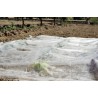 Voile de croissance CLIMATEX 2 x 5 m Nortene - Boutique en ligne Nortene