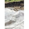 Voile de croissance CLIMATEX 2 x 5 m Nortene - Boutique en ligne Nortene