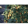 Filet de protection anti-oiseaux 2 x 5 m vert BIRDNET Nortene - Boutique en ligne Nortene