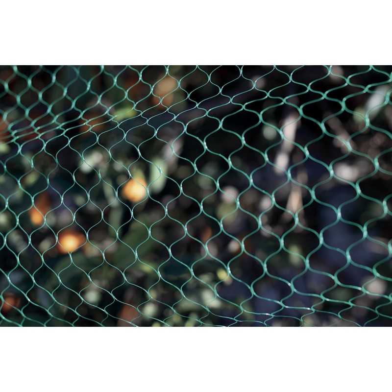 Filet de protection anti-oiseaux 2 x 5 m vert BIRDNET Nortene - Boutique en ligne Nortene