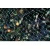 Filet de protection anti-oiseaux 2 x 5 m vert BIRDNET Nortene - Boutique en ligne Nortene