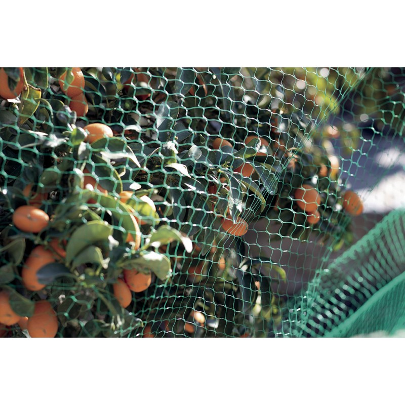 Filet De Protection Anti Oiseaux X M Vert Birdnet Nortene Boutique En Ligne Nortene