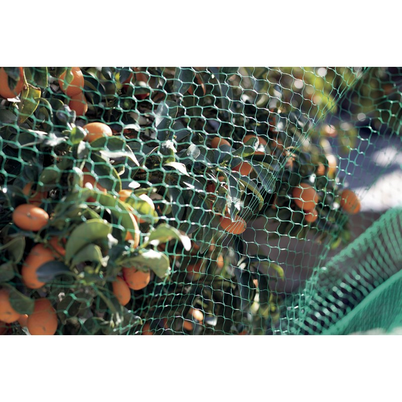 Filet de protection anti-oiseaux 2 x 5 m vert BIRDNET Nortene - Boutique en ligne Nortene