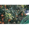 Filet de protection anti-oiseaux 2 x 5 m vert BIRDNET Nortene - Boutique en ligne Nortene
