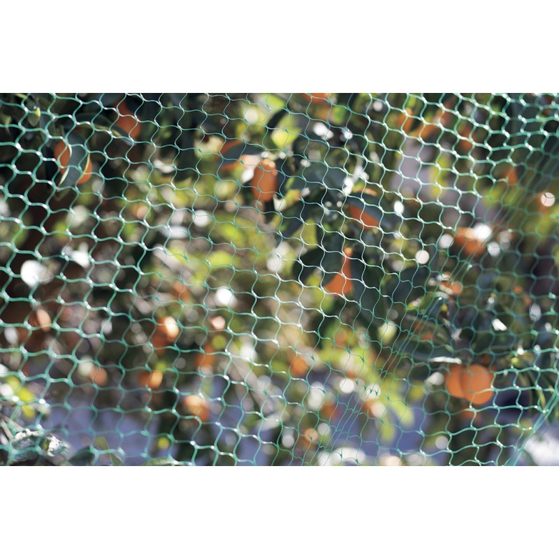 Filet de protection anti-oiseaux 2 x 5 m vert BIRDNET Nortene - Boutique en ligne Nortene