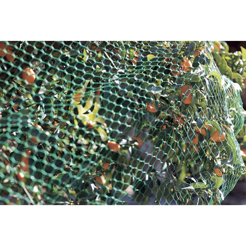 Filet de protection anti-oiseaux 2 x 5 m vert BIRDNET Nortene - Boutique en ligne Nortene