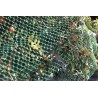 Filet de protection anti-oiseaux 2 x 5 m vert BIRDNET Nortene - Boutique en ligne Nortene