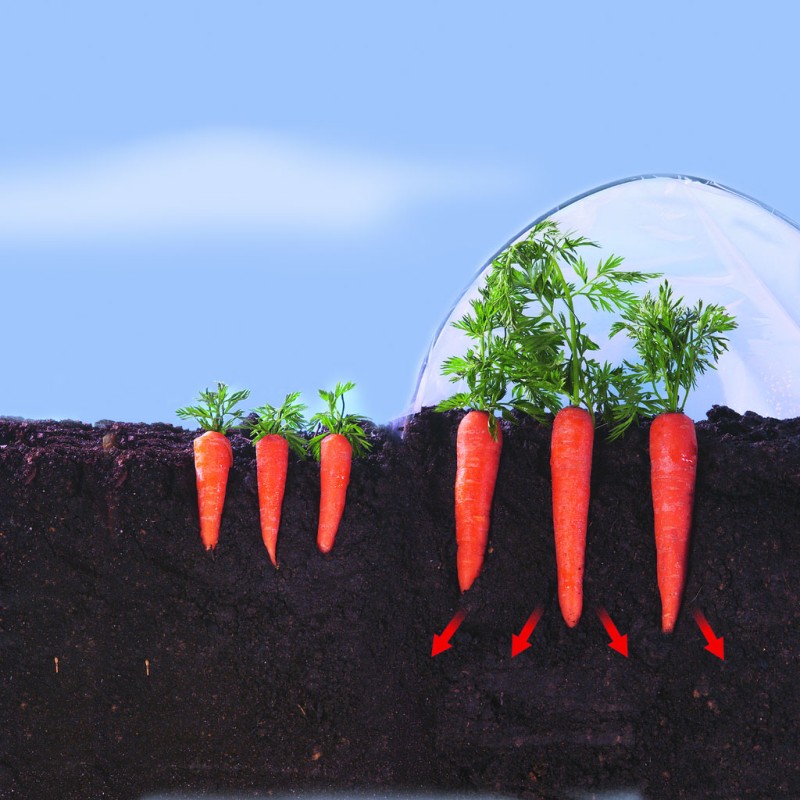 Film de forçage spécial légumes primeurs CLIMAFILM Nortene - Boutique en ligne Nortene