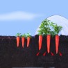 Film de forçage spécial légumes primeurs CLIMAFILM Nortene - Boutique en ligne Nortene