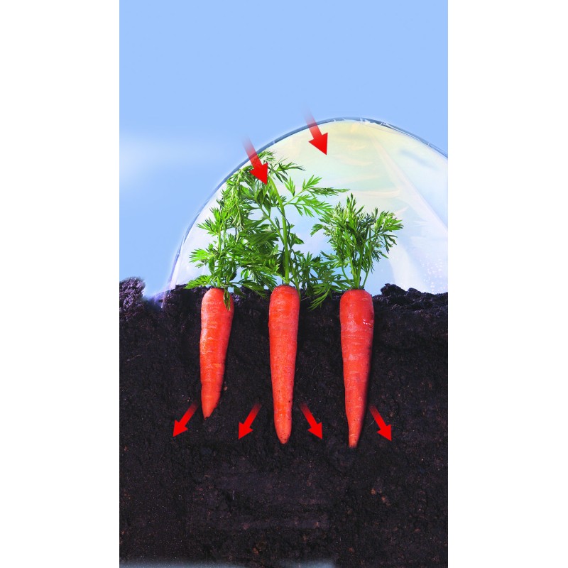 Film de forçage spécial légumes primeurs CLIMAFILM Nortene - Boutique en ligne Nortene