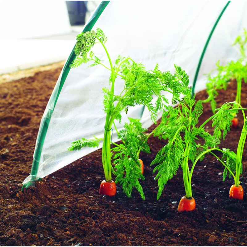 Film de forçage spécial légumes primeurs CLIMAFILM Nortene - Boutique en ligne Nortene