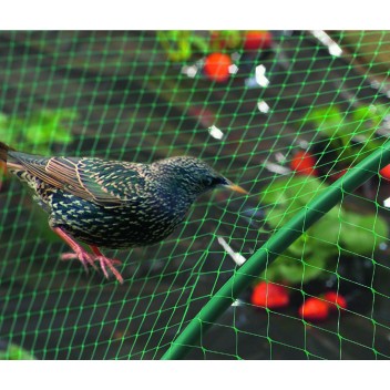 Filet de protection anti-oiseaux 4x6 m vert BIRDNET Nortene - Boutique en ligne Nortene