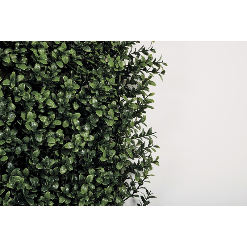Jardin vertical synthétique BUXUS imitation buis 100 x 100 cm dans le magasin Nortene