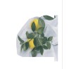 Housses dhivernage Hiverzip  1,5 x 2 mdans le magasin Nortene